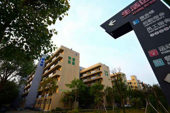 奮斗進(jìn)行時(shí)，我的青春我做主(圖3)